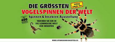 Spinnen- und Insektenausstellung auf der Trabrennbahn Bahrenfeld